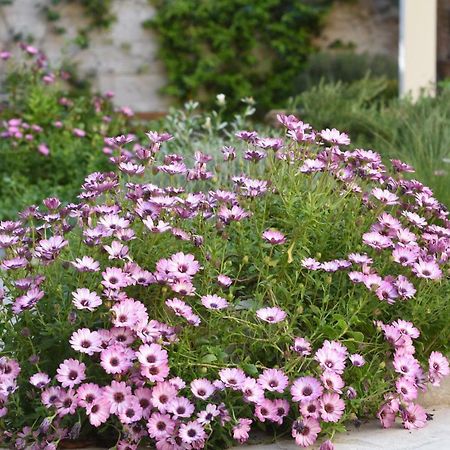 Bed and Breakfast Il Giardino Di Benedetta Lecce Exterior foto